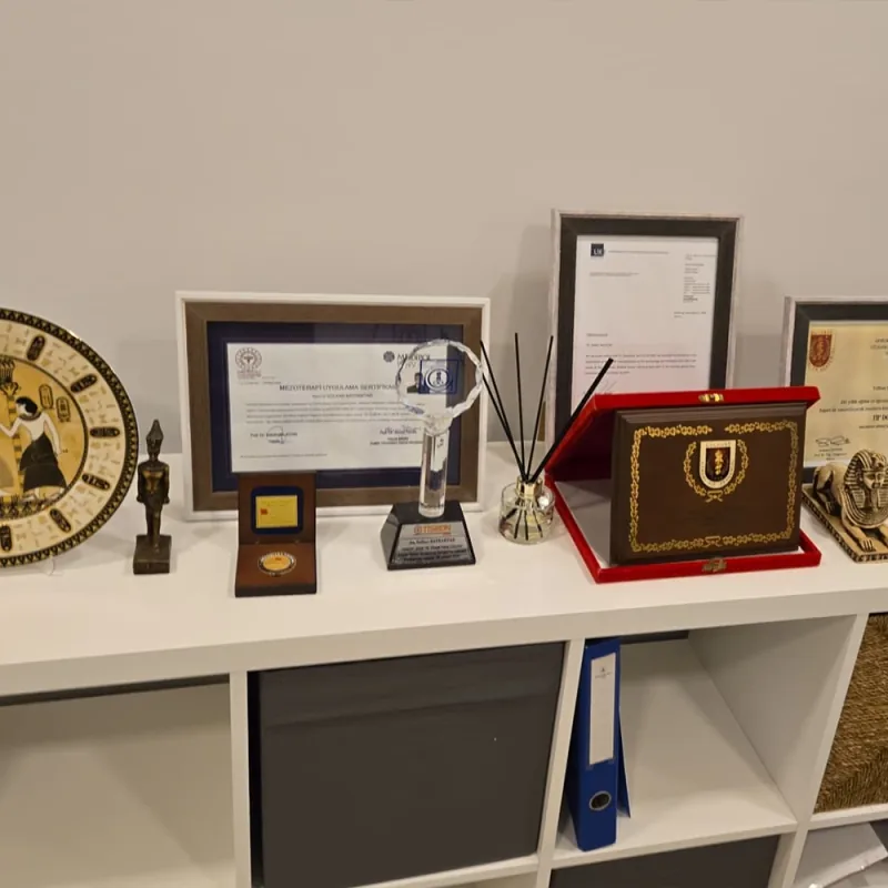 Gerahmte Dokumente, eine Medaille und Plaketten auf einem Regal